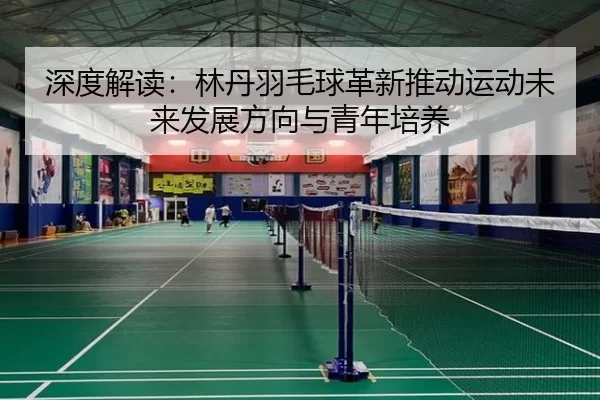 深度解读：林丹羽毛球革新推动运动未来发展方向与青年培养